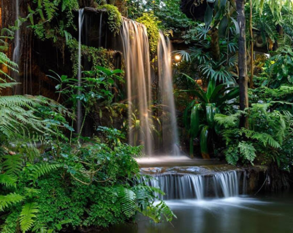 台北→清邁→泰北咖哩麵+泰奶一杯→雙龍寺(含電梯上、下山,免爬山)→清邁夜間動物園+遊園車→世界前十大黑森林餐廳(連續四年米其林必比登推薦)