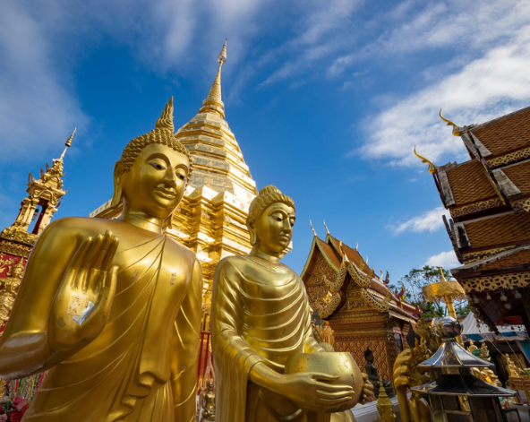 台北→清邁→泰北咖哩麵+泰奶一杯→雙龍寺(含電梯上、下山,免爬山)→清邁夜間動物園+遊園車→世界前十大黑森林餐廳(連續四年米其林必比登推薦)