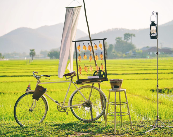 享受飯店自由時光→機場(純機場接送、中文導遊送機)→台北