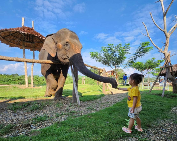 嘟嘟車遊覽古城(塔佩門、柴迪隆寺、帕辛寺、水果街)→清邁女子監獄餐廳→大象互動咖啡廳(贈送一人一籃香蕉)→尼曼商圈自由逛街&必比登推薦餐廳 Ginger Farm Kitchen