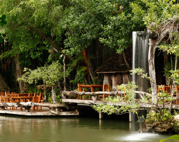 台北→清邁→泰北咖哩麵+泰奶一杯→雙龍寺(含電梯上、下山,免爬山)→清邁夜間動物園+遊園車→世界前十大黑森林餐廳(連續四年米其林必比登推薦)