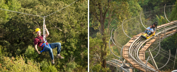 精彩活動二選一(湄登河激流泛舟&ATV越野車 或 飛索12站＆4個設施體驗)→尼曼商圈自由逛街(可另外推薦米其林、在地小吃、文青商品、咖啡廳)→泰式按摩 60 分鐘