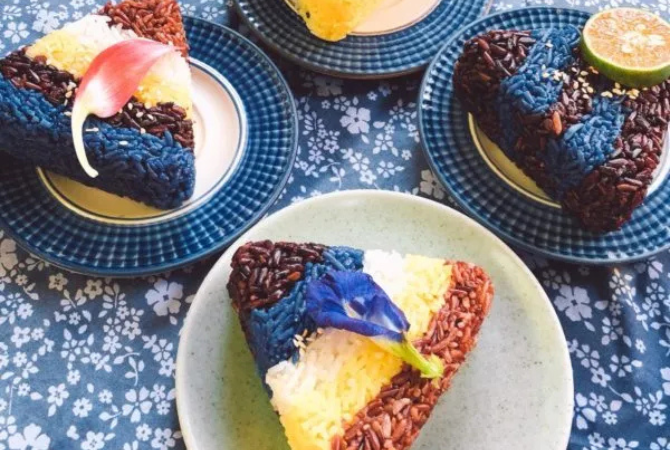 台北→清邁→米娜五色飯糰餐廳(設有兒童遊戲區)→飯店Check in→清邁夜間動物園+遊園車+園內表演秀→世界前十大黑森林餐廳