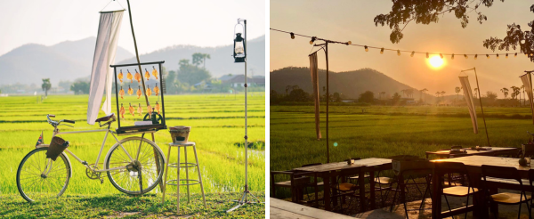  真心市集JJ Market(文創、小吃、農產品、編織、按摩皆找的到)→親子農場半日遊(木炭窯烤披薩DIY、迷你動物園、餵食紐西蘭羊、遊樂場)→露營燒烤日落BBQ+動物連線賓果